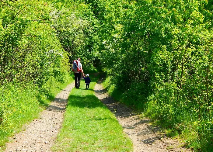 Poziomka Lantgård *